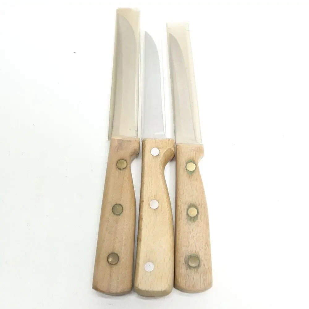 Vintage Knife Lot 2 Chicago 1 Eterna Stainless Steel Blade Wood Handle 3 Knives